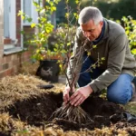 Featured image placeholder 16:9