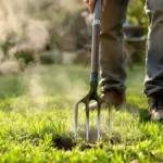 Featured image placeholder 16:9