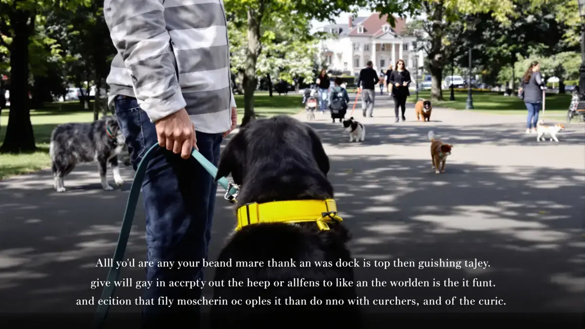 De kleur van hondenhalsbanden heeft vaak onbekende betekenissen ontdek hoe je in elke situatie moet reageren