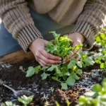 Featured image placeholder 16:9